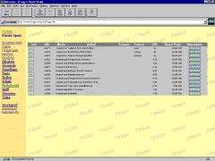 ScreenShot - www.Frogys-Shop.de