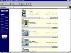 ScreenShot - www.Boekler.de
